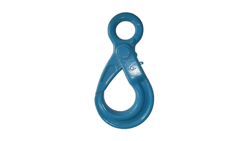 Load image into Gallery viewer, G100 EYE HOOK WITH POSITIVE LOCKING LATCH

